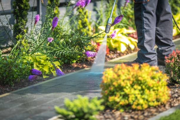 Best Pool Deck Cleaning in St Peter, MN