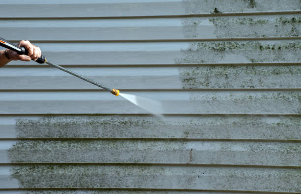 Best Deck and Patio Pressure Washing in St Peter, MN